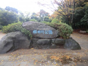 CIMG7143